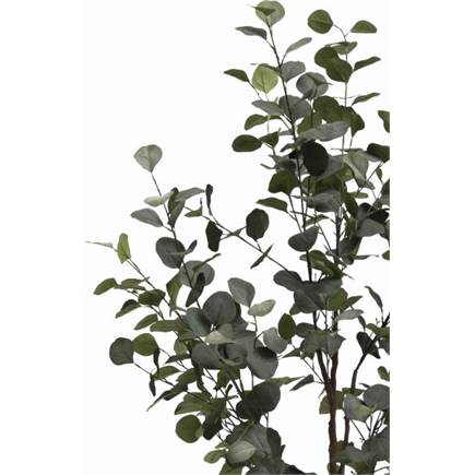 Coco Maison Eucalyptus Tree kunstplant H140cm